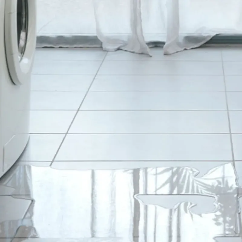 Appliance Leak Cleanup in Argentine, MI