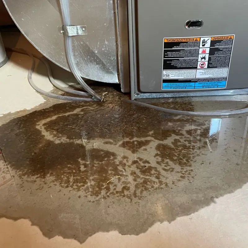 Pipe Burst and Leak Restoration in Argentine, MI