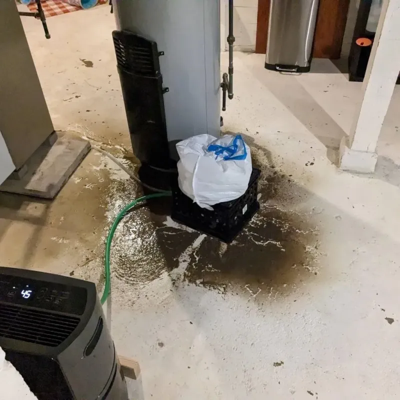 Sewage Backup Cleanup Service in Argentine, MI